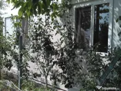 Container compus din două module! 