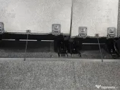 Volkswagen Golf 5, Plus 2.0 TDI. Recent adus din Germania! 