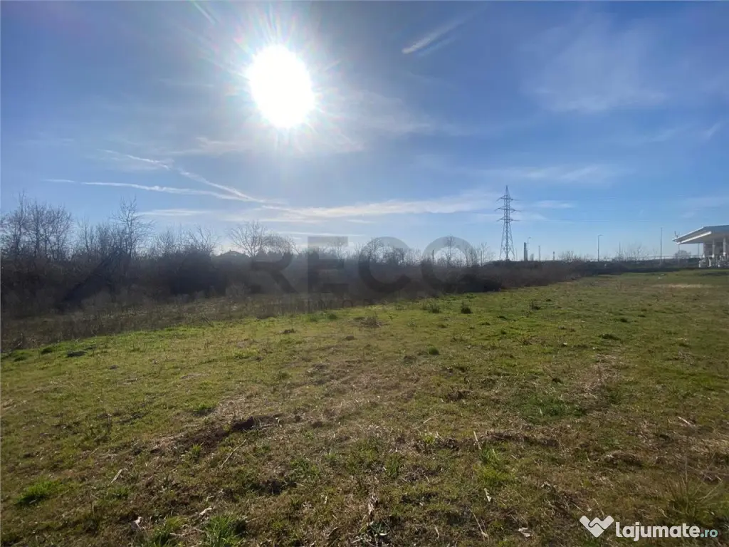 RECO teren extravilan 1011mp Episcopia