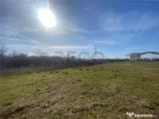 RECO teren extravilan 1011mp Episcopia 