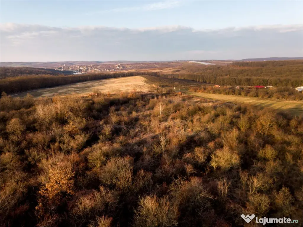 Reco Teren intravilan in Saldabagiu de munte 4333MP