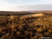 Reco Teren intravilan in Saldabagiu de munte 4333MP 