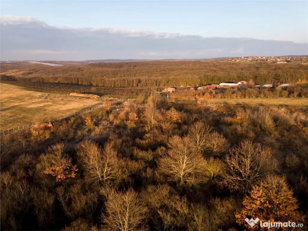 Reco Teren intravilan in Saldabagiu de munte 4333MP