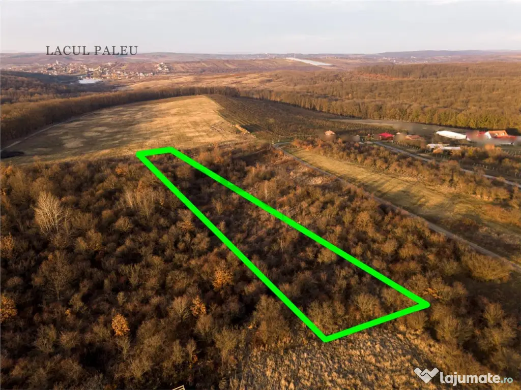 Reco Teren intravilan in Saldabagiu de munte 4333MP