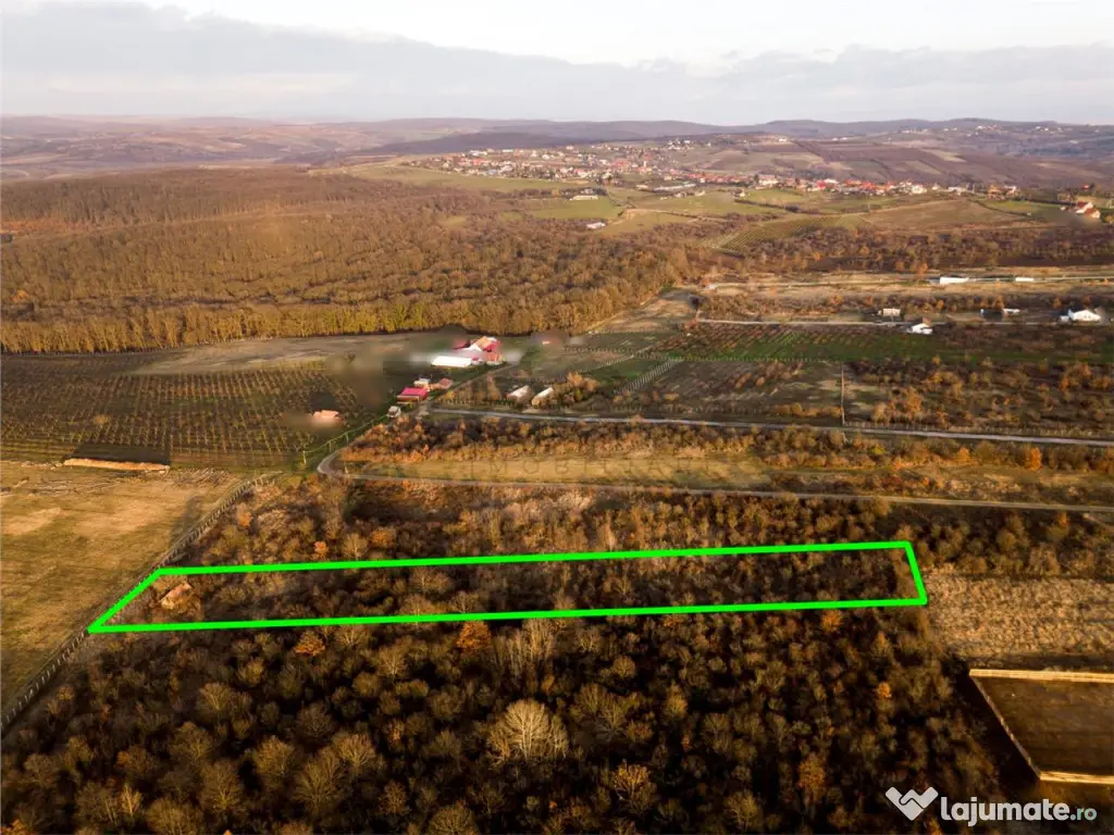 Reco Teren intravilan in Saldabagiu de munte 4333MP