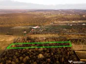 Reco Teren intravilan in Saldabagiu de munte 4333MP 