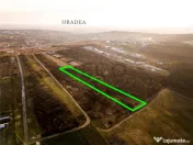 Reco Teren intravilan in Saldabagiu de munte 4333MP 