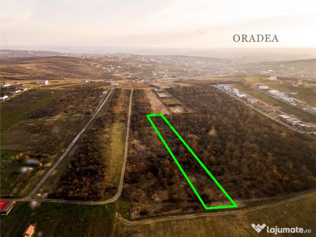 Reco Teren intravilan in Saldabagiu de munte 4333MP