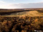 Reco Teren intravilan in Saldabagiu de munte 4333MP 