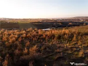 RECO Teren Intravilan 5305mp Paleu 