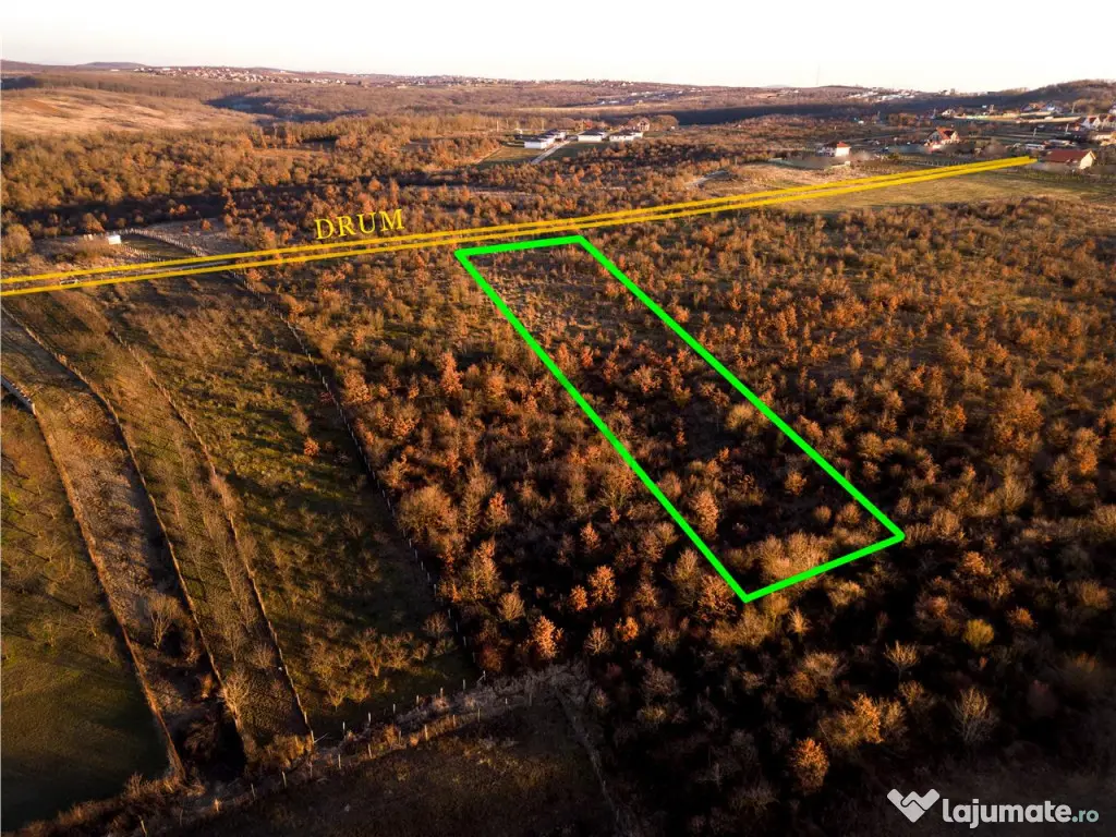 RECO Teren Intravilan 5305mp Paleu