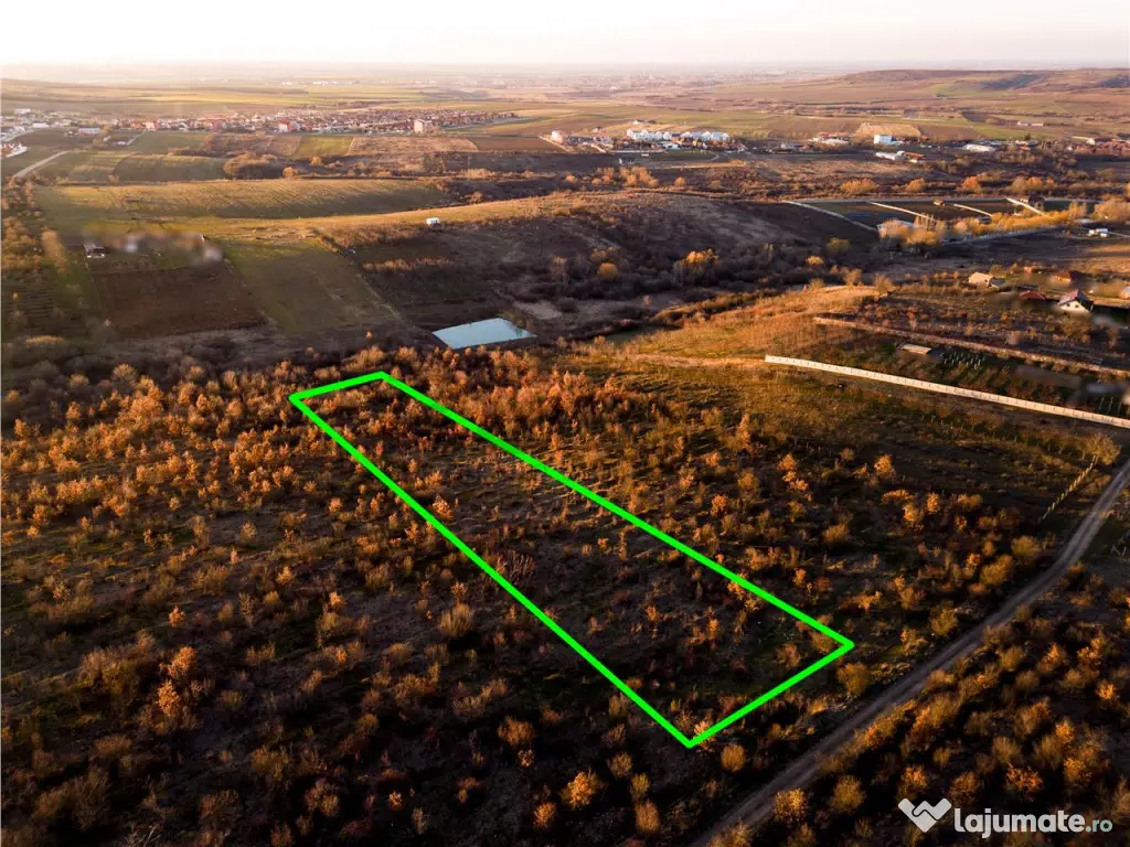 RECO Teren Intravilan 5305mp Paleu