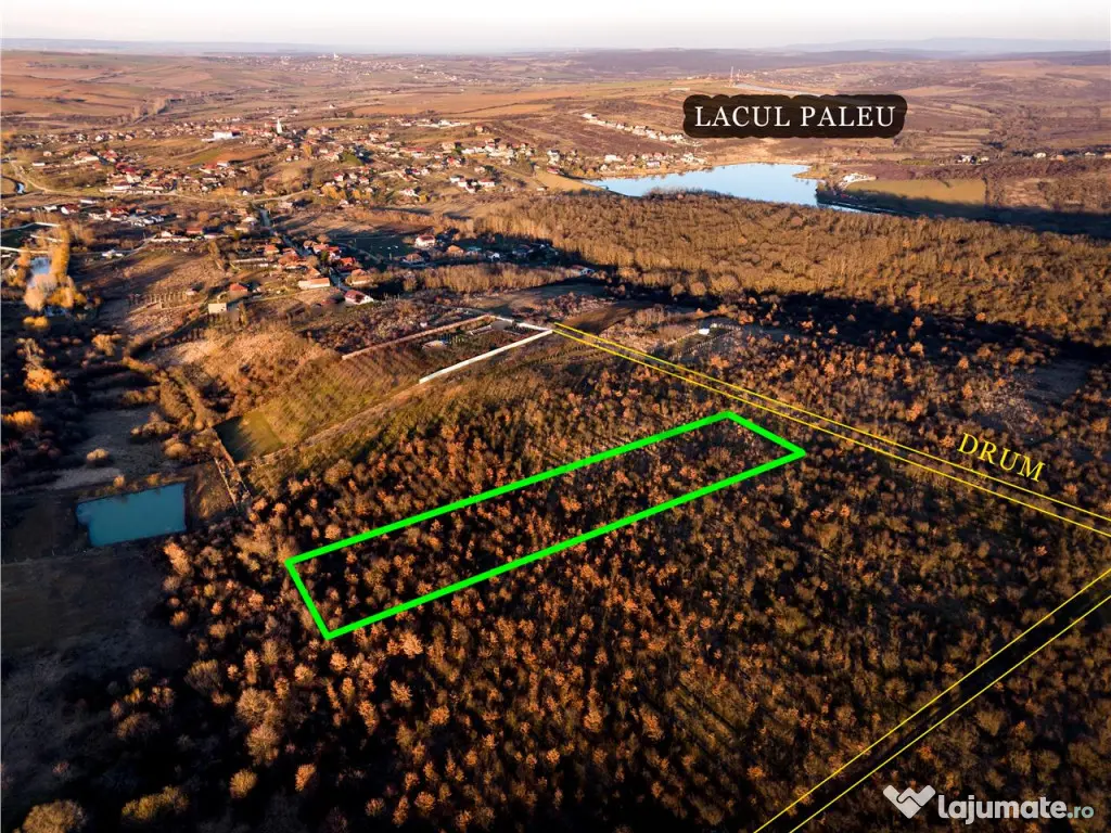 RECO Teren Intravilan 5305mp Paleu