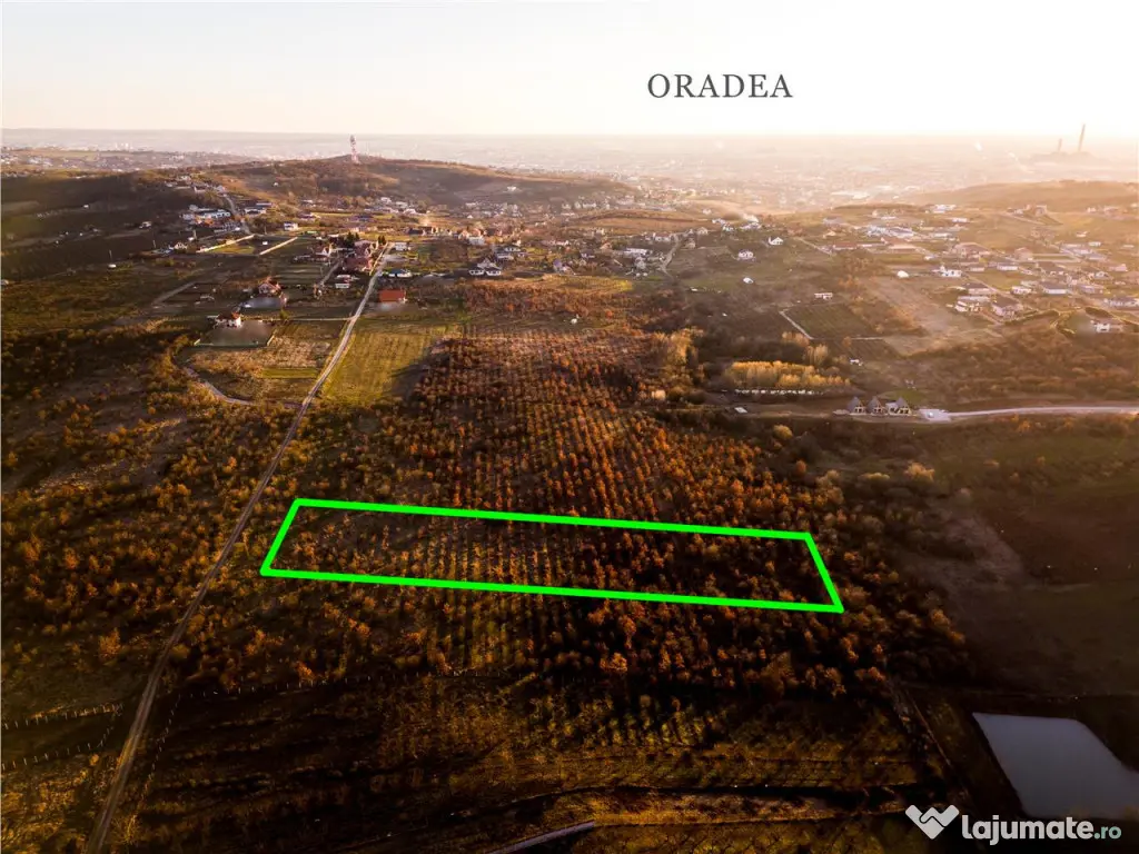 RECO Teren Intravilan 5305mp Paleu