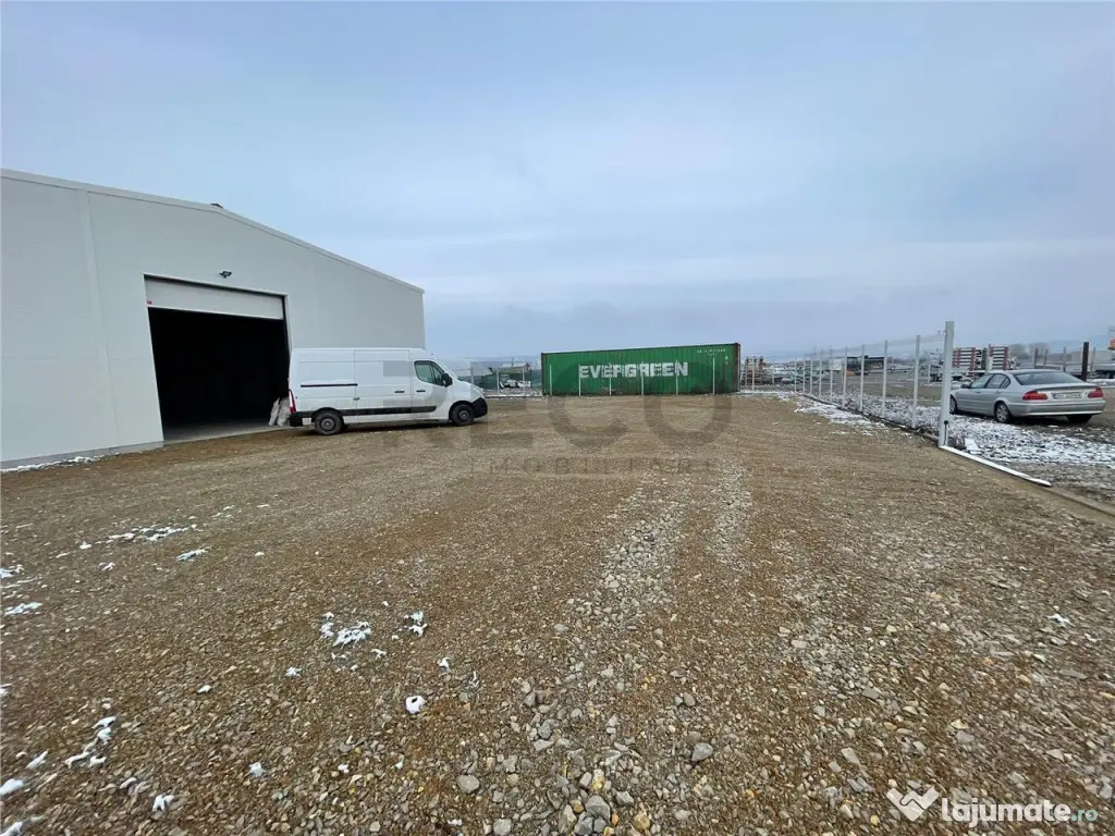 RECO hala cu teren in Osorhei