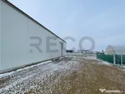 RECO hala cu teren in Osorhei 