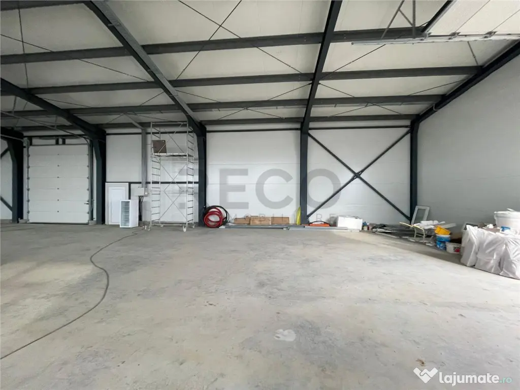 RECO hala cu teren in Osorhei