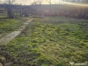 RECO. Teren intravilan de in Cetariu 