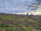 RECO. Teren intravilan de in Cetariu 