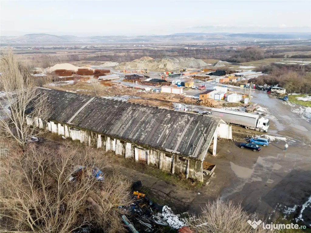 RECO . Proprietate industriala Tileagd .