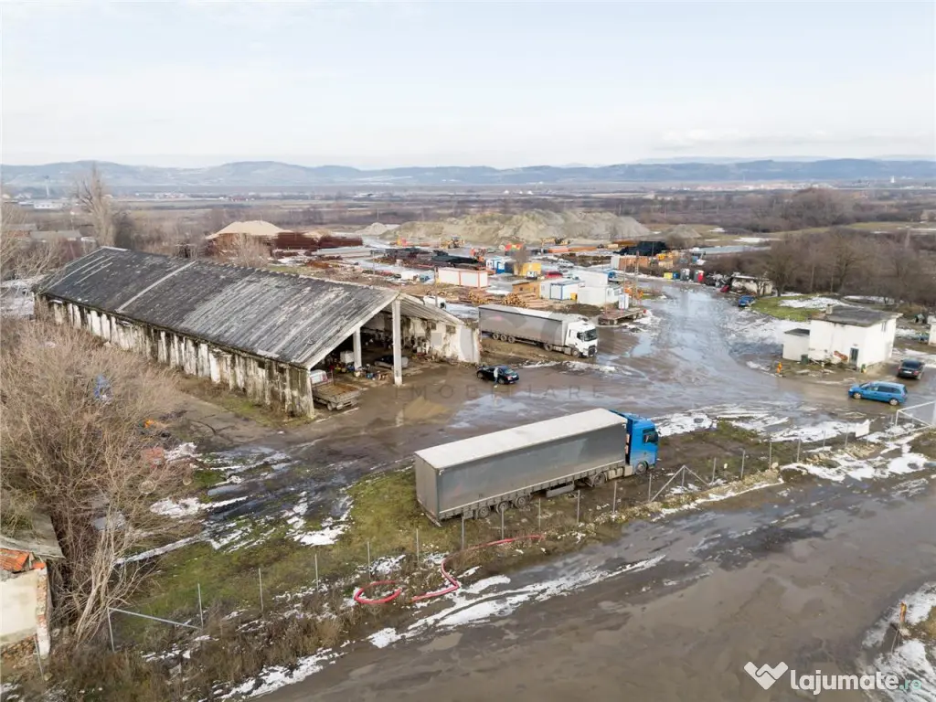 RECO . Proprietate industriala Tileagd .