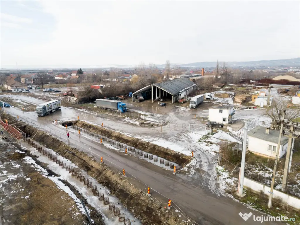 RECO . Proprietate industriala Tileagd .