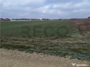 Reco, teren intravilan Nojorid 