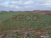 Reco, teren intravilan Nojorid 