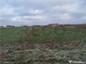 Reco, teren intravilan Nojorid 