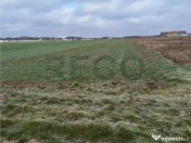 Reco, teren intravilan Nojorid 