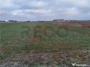 Reco, teren intravilan Nojorid 