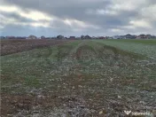 Reco, teren intravilan Nojorid 