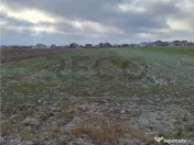 Reco, teren intravilan Nojorid 