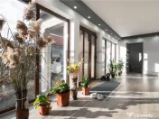 RECO, Doua case la pret de una, mobilate/utilate, Zona Tarce 