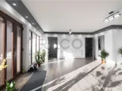 RECO, Doua case la pret de una, mobilate/utilate, Zona Tarce 