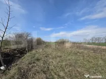 Teren de vanzare, 5000 mp, zona Odobescu Satu Mare