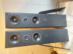 Phonar Akustik P-2, Boxe standfloor