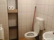 Spatiu comercial Titulescu Banu Manta 260 mp 