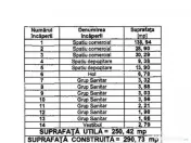 Spatiu comercial Titulescu Banu Manta 260 mp 