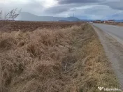 Teren 9000 mp Sacele Izvor, front 356 m la DJ 103A 