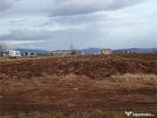 Teren 9000 mp Sacele Izvor, front 356 m la DJ 103A 