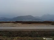 Teren 9000 mp Sacele Izvor, front 356 m la DJ 103A 