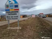 Teren 9000 mp Sacele Izvor, front 356 m la DJ 103A 