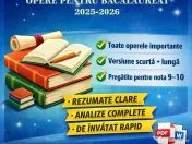 Eseuri Bac Română 2026 – complete și ușor de învățat 