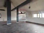 Vilă de vânzare în Berceni, teren 1161 mp | Oportunita... 