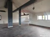 Vilă de vânzare în Berceni, teren 1161 mp | Oportunita... 