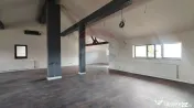 Vilă de vânzare în Berceni, teren 1161 mp | Oportunita... 