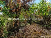 Casă pe Dorobanților | 716 mp teren | centrală gaz | P... 