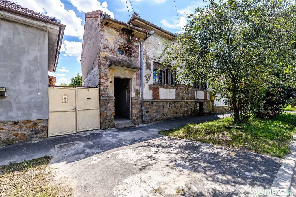 Pârneava | 716 mp | 2 corpuri | 262 mp construiți - Arad (Arad)