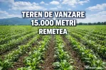 Teren de vanzare, 15.000 M, Remetea